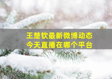 王楚钦最新微博动态今天直播在哪个平台