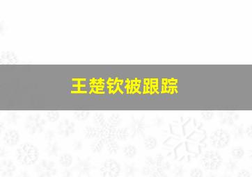 王楚钦被跟踪