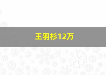 王羽杉12万