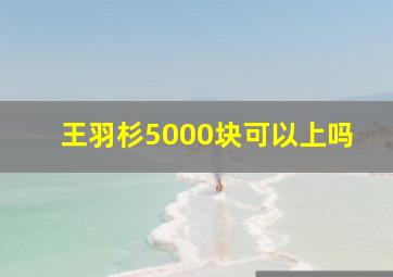 王羽杉5000块可以上吗