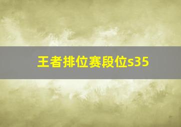 王者排位赛段位s35