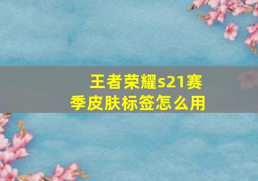 王者荣耀s21赛季皮肤标签怎么用