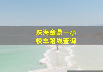 珠海金鼎一小校车路线查询