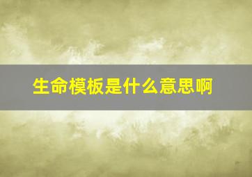 生命模板是什么意思啊