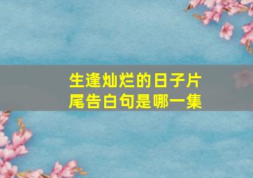 生逢灿烂的日子片尾告白句是哪一集