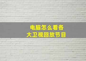 电脑怎么看各大卫视回放节目