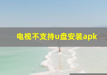 电视不支持u盘安装apk