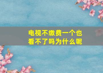 电视不缴费一个也看不了吗为什么呢