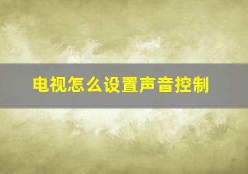 电视怎么设置声音控制