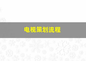 电视策划流程