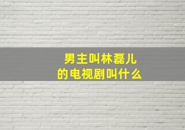 男主叫林磊儿的电视剧叫什么