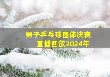 男子乒乓球团体决赛直播回放2024年