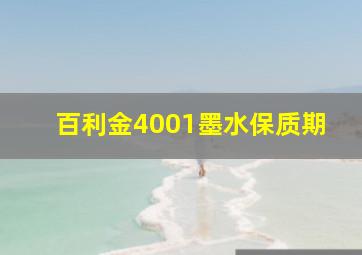 百利金4001墨水保质期