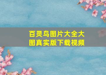 百灵鸟图片大全大图真实版下载视频