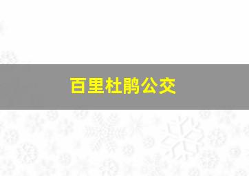 百里杜鹃公交