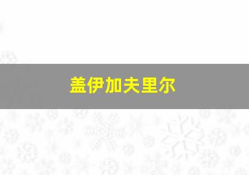 盖伊加夫里尔