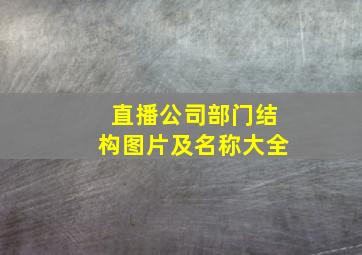 直播公司部门结构图片及名称大全