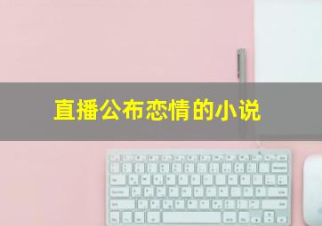 直播公布恋情的小说