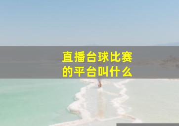 直播台球比赛的平台叫什么