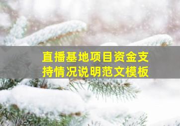 直播基地项目资金支持情况说明范文模板