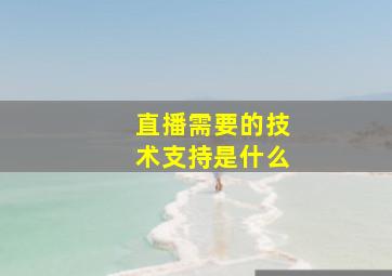 直播需要的技术支持是什么