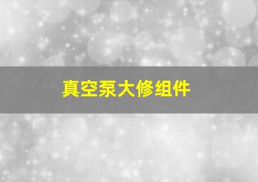 真空泵大修组件