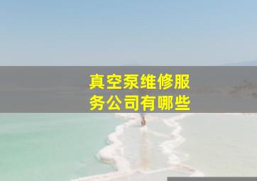 真空泵维修服务公司有哪些