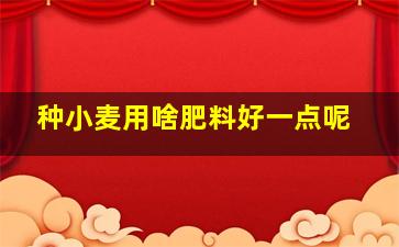 种小麦用啥肥料好一点呢