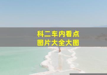 科二车内看点图片大全大图