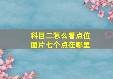 科目二怎么看点位图片七个点在哪里