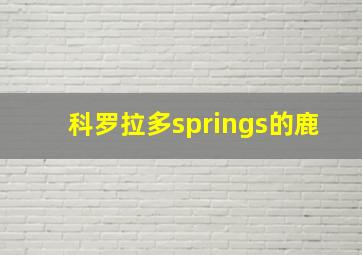 科罗拉多springs的鹿