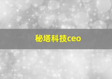 秘塔科技ceo