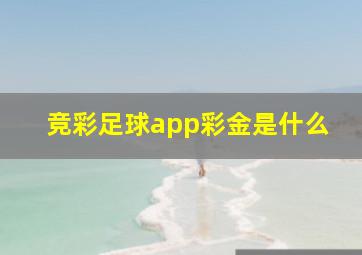 竞彩足球app彩金是什么