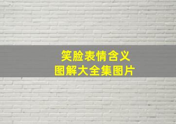 笑脸表情含义图解大全集图片