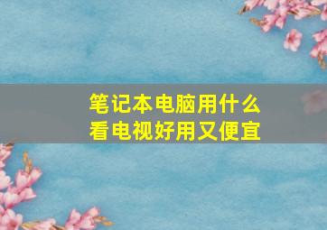 笔记本电脑用什么看电视好用又便宜