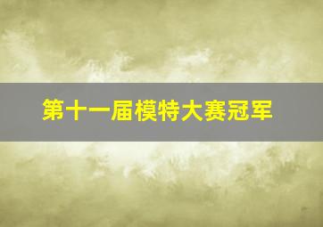 第十一届模特大赛冠军