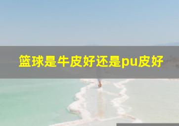 篮球是牛皮好还是pu皮好