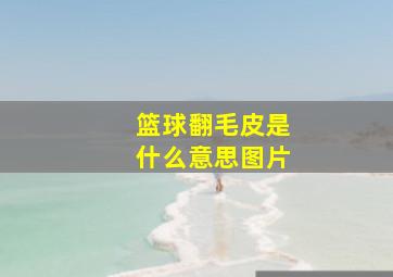 篮球翻毛皮是什么意思图片