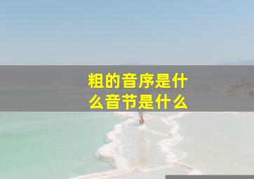 粗的音序是什么音节是什么