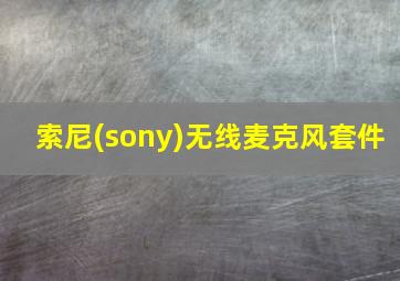 索尼(sony)无线麦克风套件