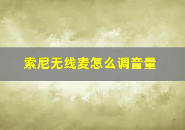 索尼无线麦怎么调音量