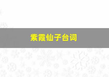 紫霞仙子台词