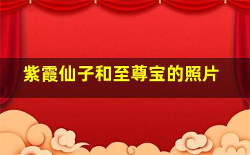 紫霞仙子和至尊宝的照片