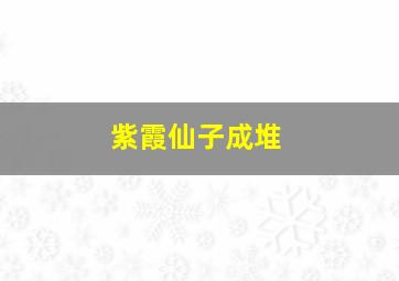 紫霞仙子成堆