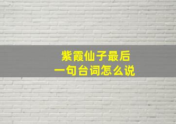 紫霞仙子最后一句台词怎么说