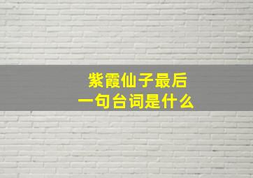 紫霞仙子最后一句台词是什么