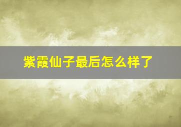 紫霞仙子最后怎么样了