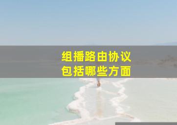 组播路由协议包括哪些方面