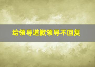 给领导道歉领导不回复