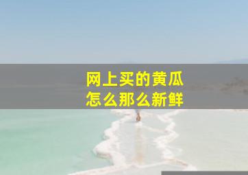 网上买的黄瓜怎么那么新鲜